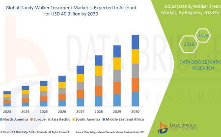 Dandy-Walker Treatment Market: Insights, Key Players, and Growth Analysis 2023 –2030