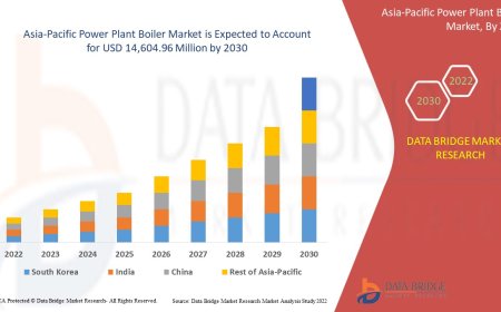 Asia-Pacific Power Plant Boiler Market Industry Statistics: Growth, Share, Value, and Trends
