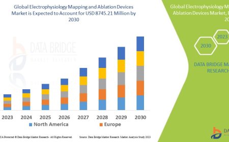 Electrophysiology Mapping and Ablation Devices Market Dynamics: Key Drivers and Restraints 2023 –2030