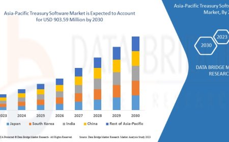 Asia-Pacific Treasury Software Market Revenue Analysis: Growth, Share, Value, Size, and Insights