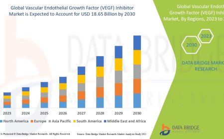 Vascular Endothelial Growth Factor (VEGF) Inhibitor Market: Trends, Forecast, and Competitive Landscape 2023 –2030