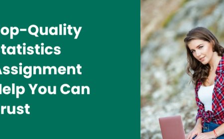 Top-Quality Statistics Assignment Help You Can Trust