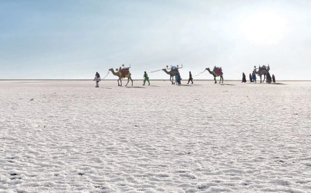 Explore Culture & Heritage with a Bhuj Tour Package Today