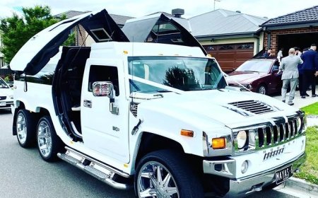 5 Reasons Pink Limo Hire Melbourne is the Perfect Gift Experience