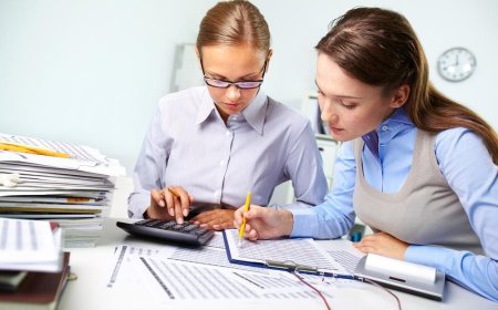 Tax Advisory and Data Analytical Solutions