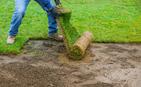 How to Prep Your Soil Before Any Sod Touches It