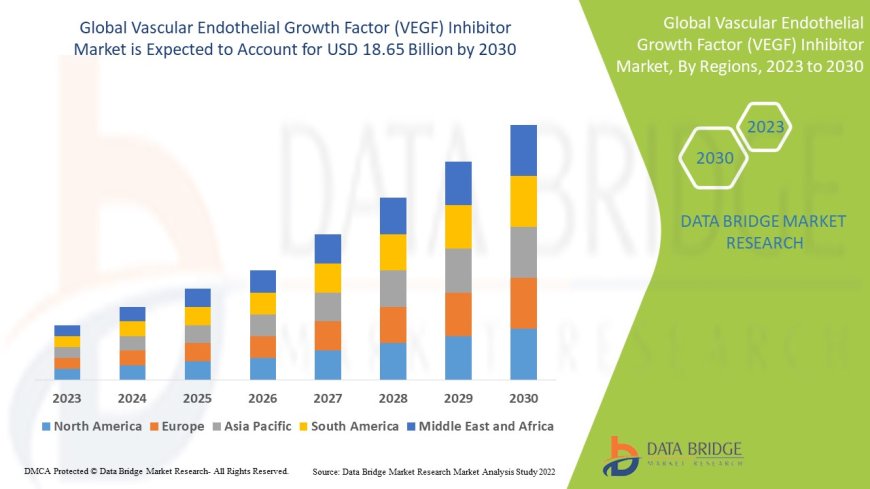 Vascular Endothelial Growth Factor (VEGF) Inhibitor Market: Trends, Forecast, and Competitive Landscape 2023 –2030