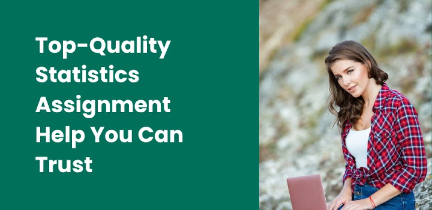Top-Quality Statistics Assignment Help You Can Trust