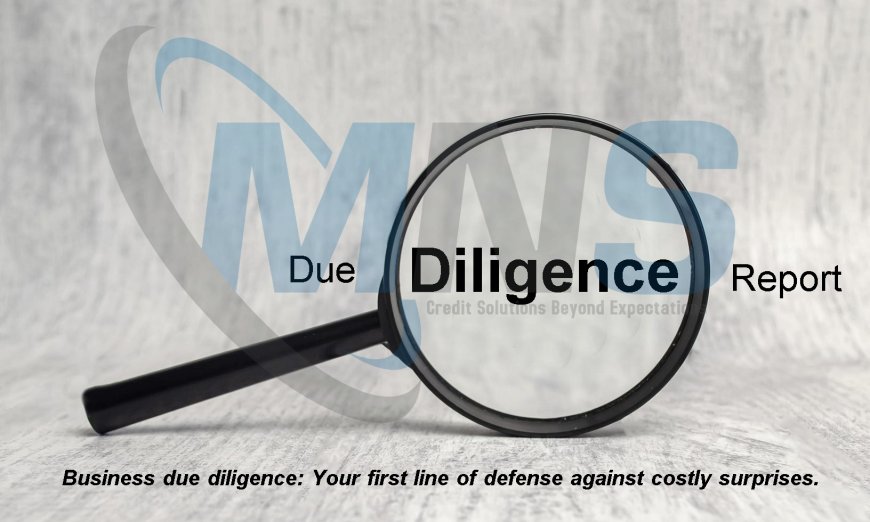 Mastering the Art of Business Due Diligence: A Step-by-Step Guide