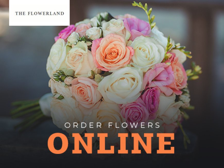 Floral Expressions: How to Choose the Right Blooms for Every Occasion
