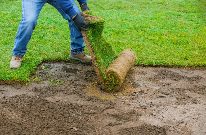 How to Prep Your Soil Before Any Sod Touches It