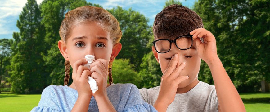 From Dust to Pollen: What an Environmental Allergy Test Can Reveal