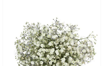 From Strathmore with Love — Flowers for Every Emotion