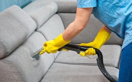 Upholstery Cleaner Aurora, CO