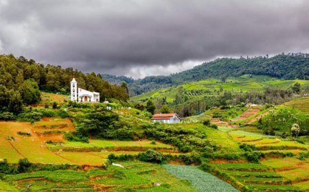 Honeymoon Ooty: A Dreamy Escape into Nature's Lap