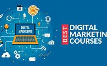 What to Expect from a Top-Rated Digital Marketing Institute? 
