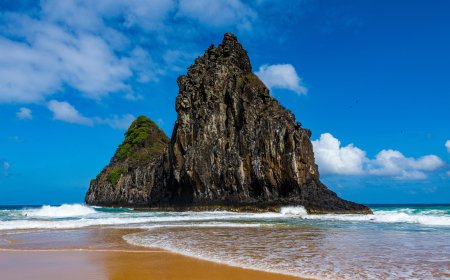 Your Go-To Travel Hub: Turkish Airlines New York City Office