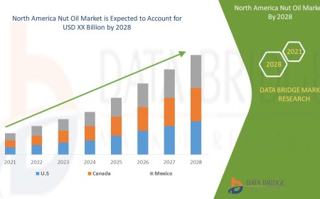 North America Nut Oil Market : Insights, Key Players, and Growth Analysis 2025 –2032