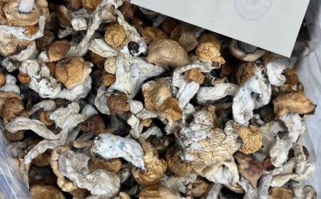 How to identify good magic mushrooms near me