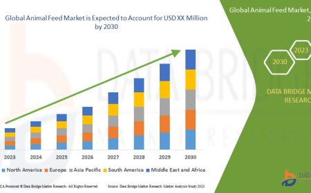 Animal Feed Market Grows Amid Rising Meat Production and Demand for Nutrient-Rich Feed Additives