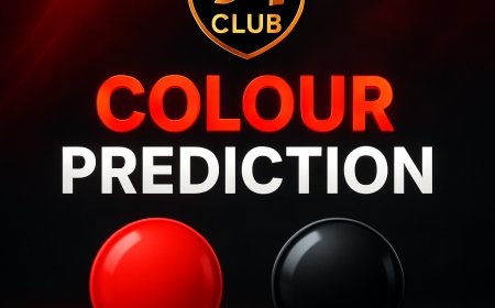 Win Smarter with the Right Colour Moves in 91 Club