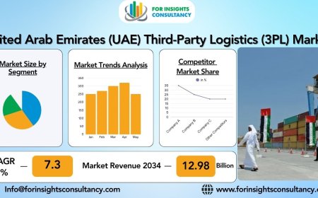 Exploring the United Arab Emirates (UAE) Third-Party Logistics (3PL) Market