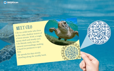 Fahlo QR Code Bracelets: Track Wildlife and Support Conservation in Real Time