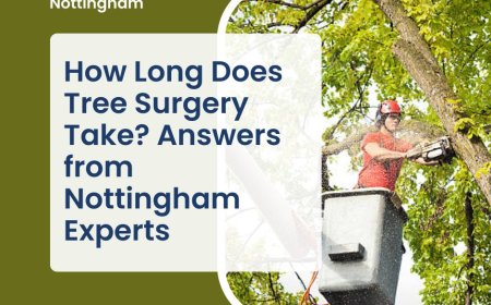 How Long Does Tree Surgery Take? Answers from Nottingham Experts