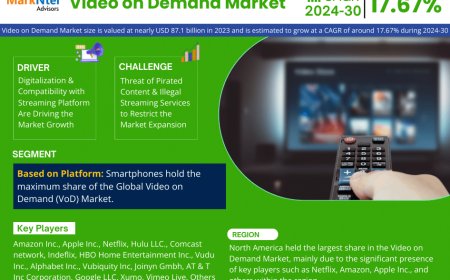 Video on Demand Market Overview:  Growth & Strategy