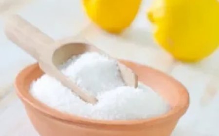 Citric Acid Market Size, Trends, and Growth Forecast 2025-2032
