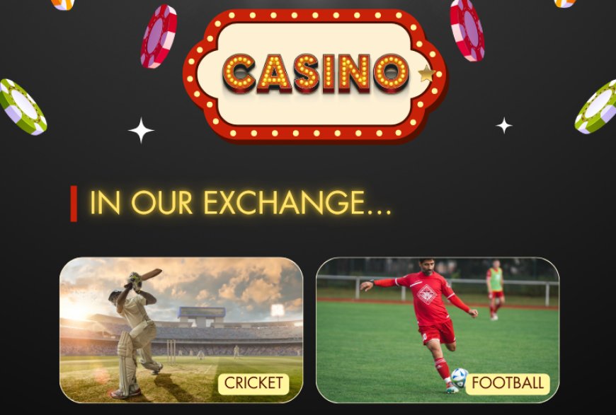 11xplay Sign Up Guide: How to Get Started Easily in 2025