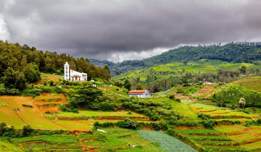 Honeymoon Ooty: A Dreamy Escape into Nature's Lap