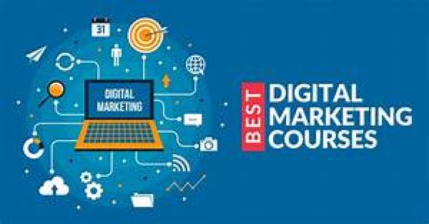 What to Expect from a Top-Rated Digital Marketing Institute?