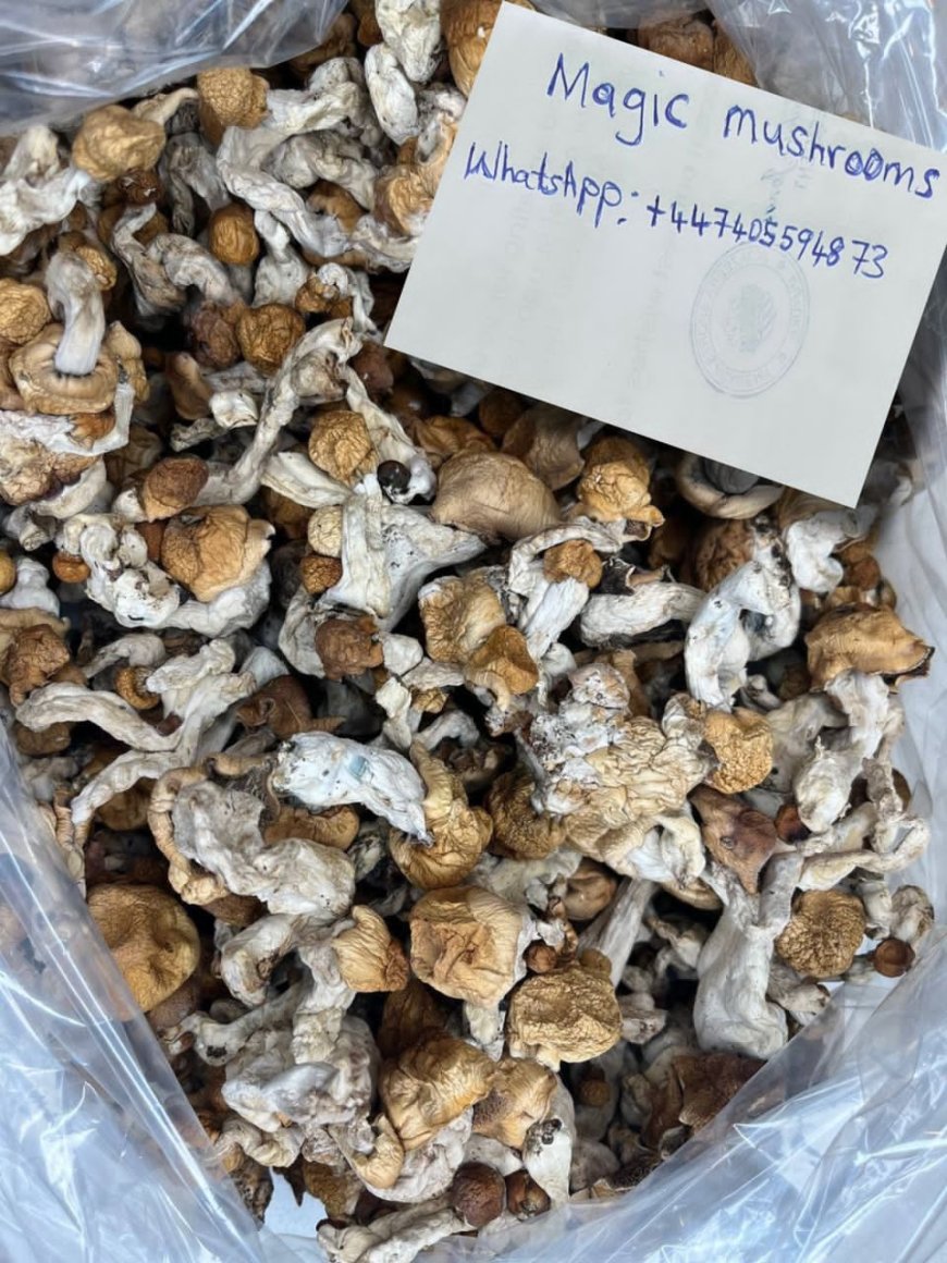 How to identify good magic mushrooms near me