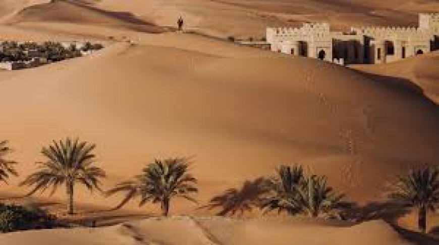 Liwa Oasis: The Jewel of Abu Dhabi’s Empty Quarter