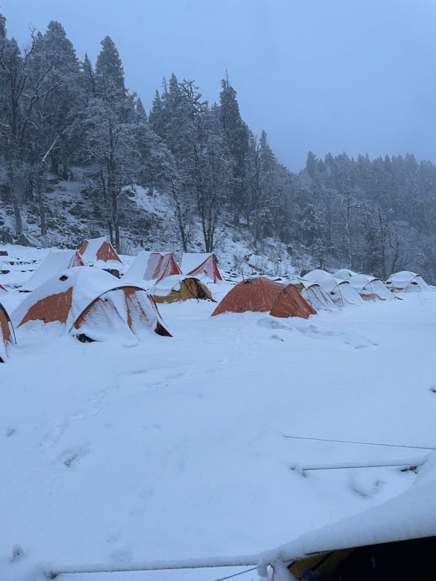 Meet Kedarnath: Your Best Himalayan Getaway With TREKBERRY