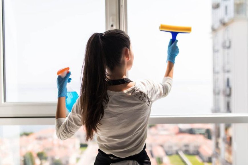 Crystal Clear Views: The Importance of Professional Commercial Window Cleaning Services