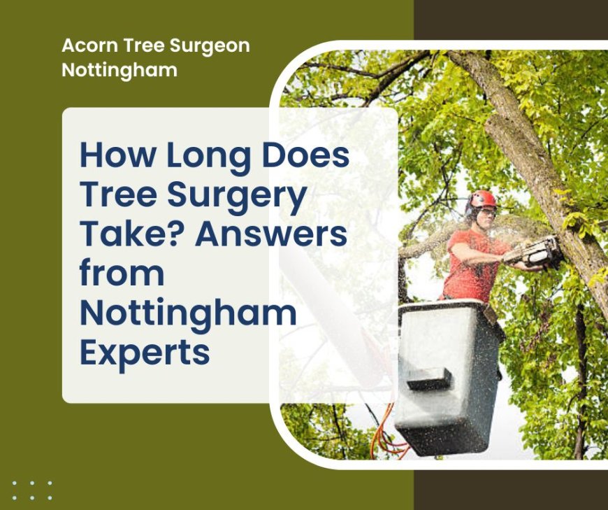 How Long Does Tree Surgery Take? Answers from Nottingham Experts