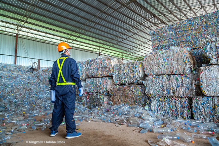 Recycling in Yemen: Pioneering a Greener Future with Gap‑YE