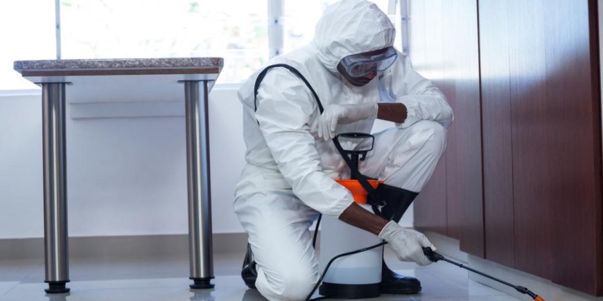 How to Select Reliable Pest Control Services in Saudi Arabia