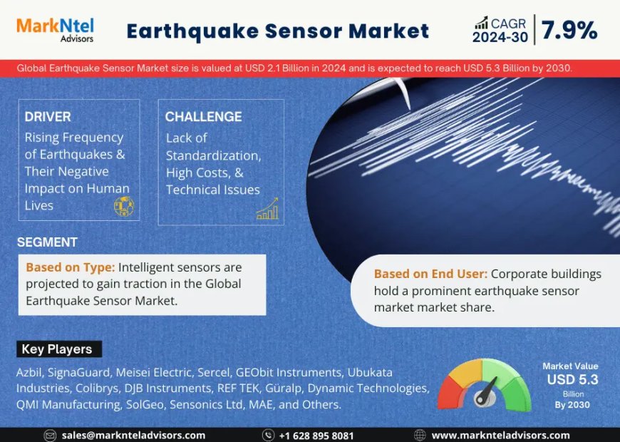 Earthquake Sensor Market Overview: Growth & Strategy