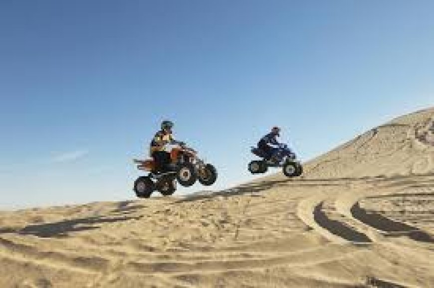 Desert Nights & Starry Skies: Family Camping Experiences in Abu Dhabi