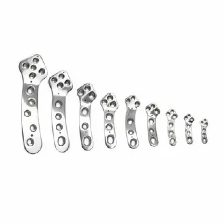 Veterinary Orthopedic Implants Market: Size, Trends, and Strategic Outlook 2025-2032