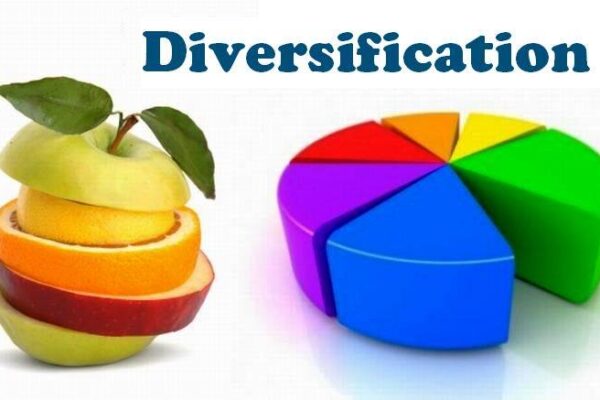 Diversify Investment Portfolio