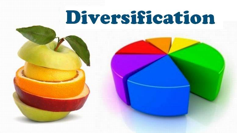 Diversify Investment Portfolio